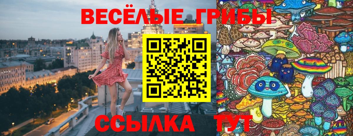 Галлюциногенные грибы MAGIC MUSHROOMS Дербент