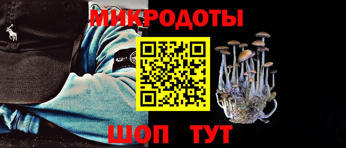Галлюциногенные грибы Psilocybe  Вход с VPN  Дербент 
